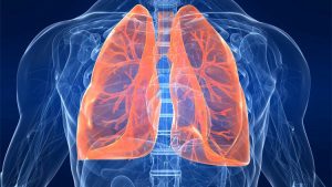 Có nhiều nguyên nhân dẫn đến việc phổi bị nhiễm độc