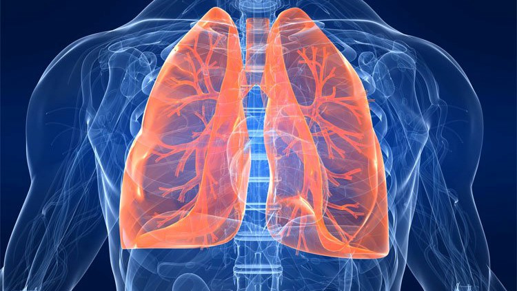 Có nhiều nguyên nhân dẫn đến việc phổi bị nhiễm độc